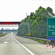 茂湛高速公路 茂湛高速公路