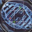 異源雙鏈DNA 異源雙鏈DNA
