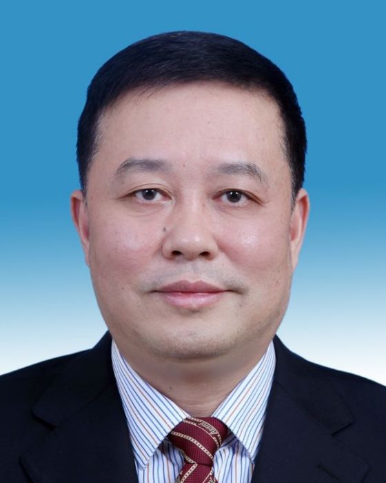 林澤鋒(海南省人大常委會秘書長、黨組成員) 林澤鋒(海南省人大常委會秘書長、黨組成員)