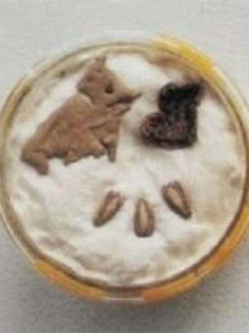 葫蘆籽(館藏於河姆渡遺址博物的文物) 葫蘆籽(館藏於河姆渡遺址博物的文物)