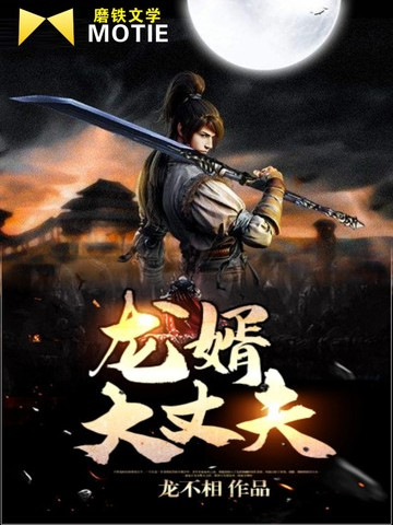 龍婿大丈夫 龍婿大丈夫