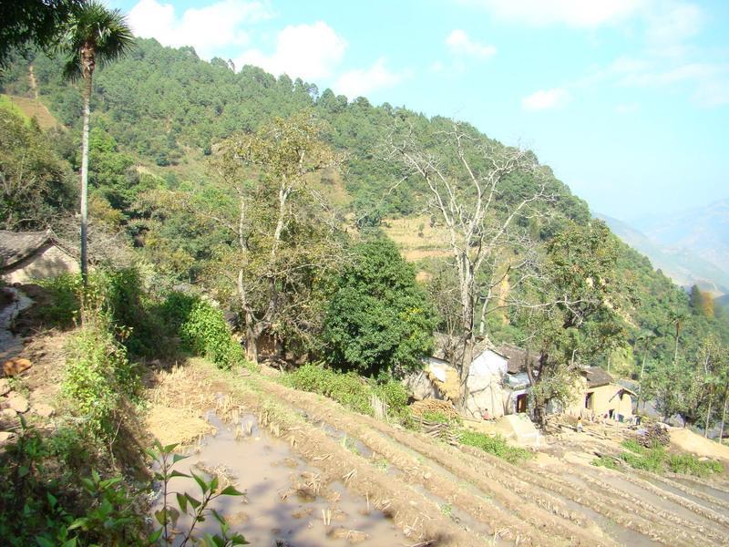 宗瑪垤村 宗瑪垤村