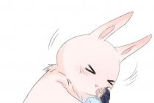 上月球 上月球