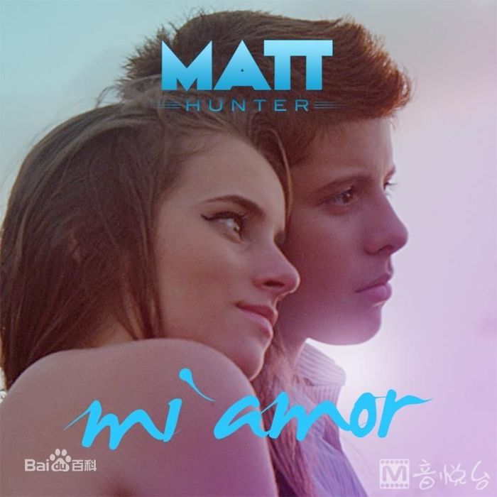 Mi Amor(matt Hunter演唱的歌曲)