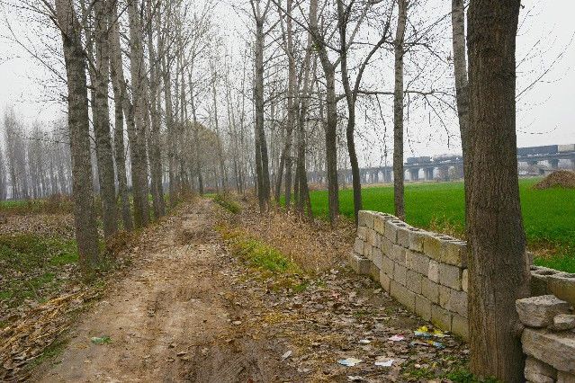 大山驛道 大山驛道