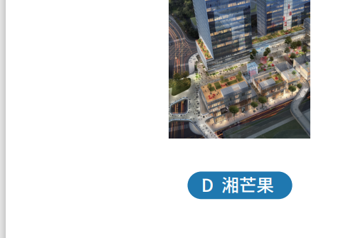 湘芒果 湘芒果