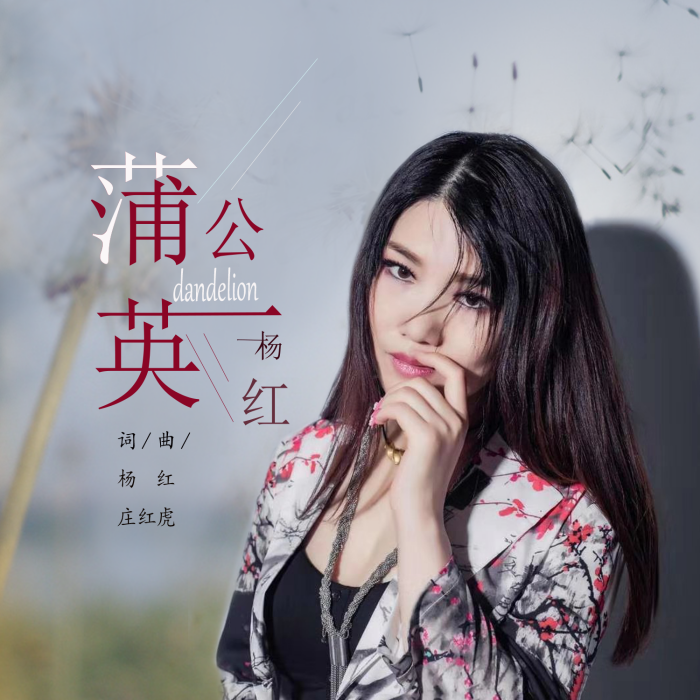 蒲公英(楊紅演唱的歌曲) 蒲公英(楊紅演唱的歌曲)
