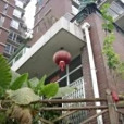城南新居 城南新居