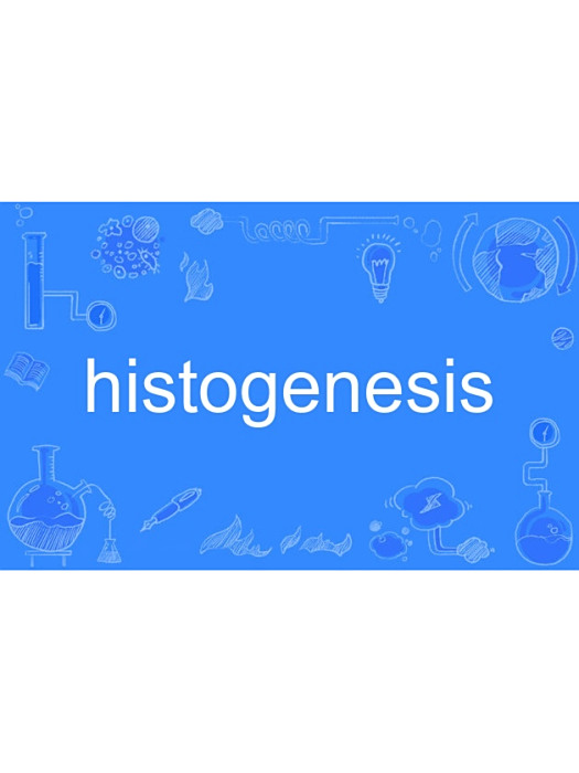 histogenesis histogenesis