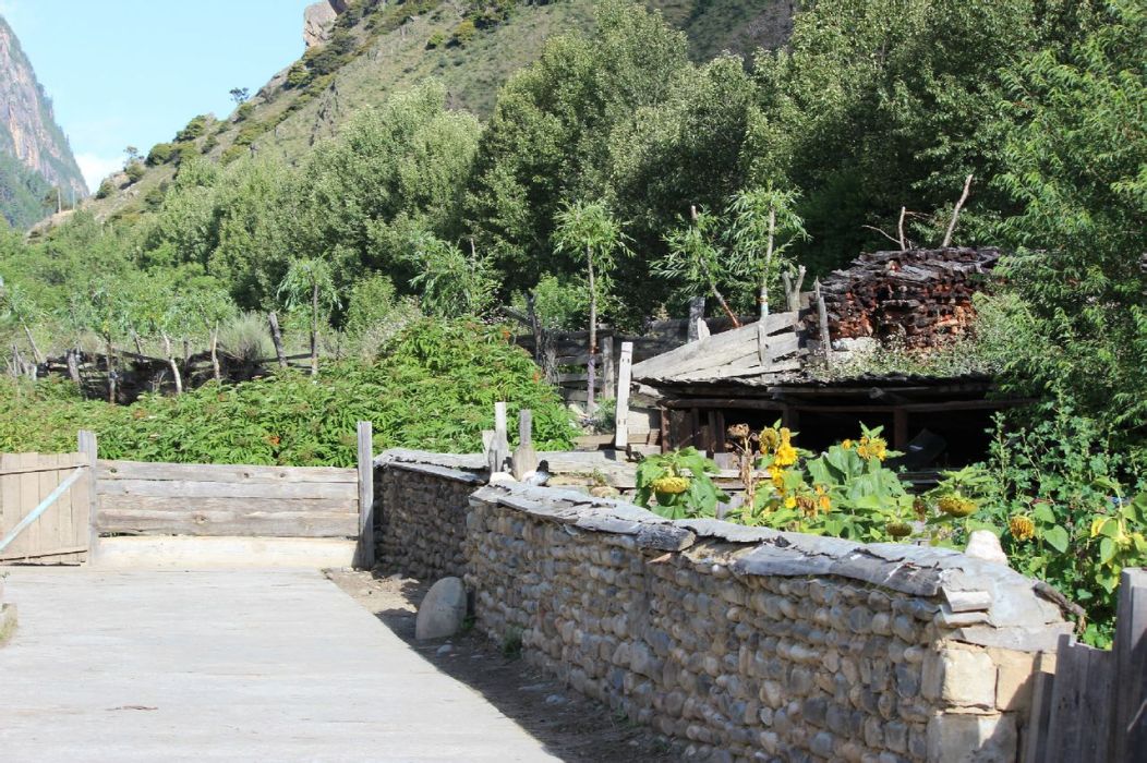 周龍村 周龍村