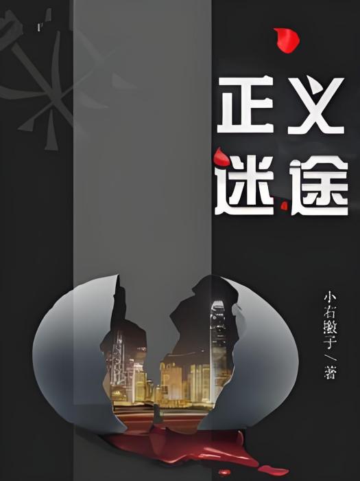 正義迷途 正義迷途