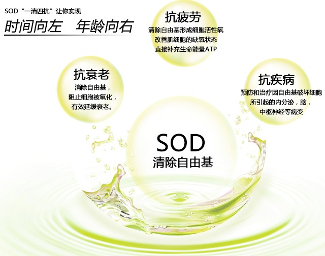超氧化物歧化酶(SOD)