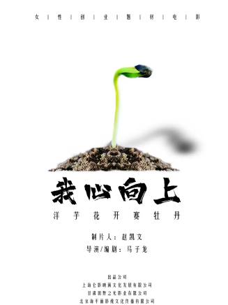 朱棟青