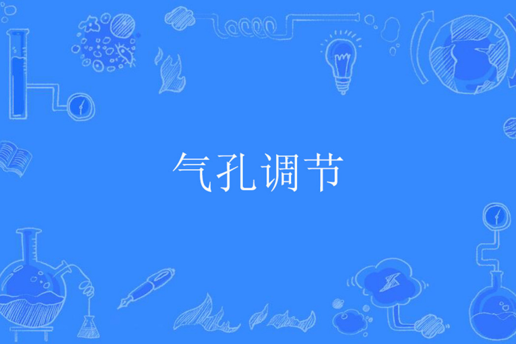 氣孔調節 氣孔調節
