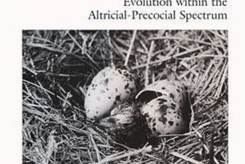 Avian Growth and Development Avian Growth and Development
