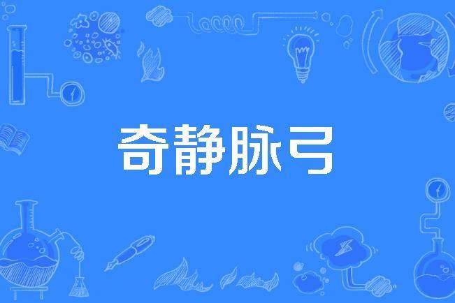 奇靜脈弓 奇靜脈弓