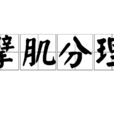 擘肌分理 擘肌分理