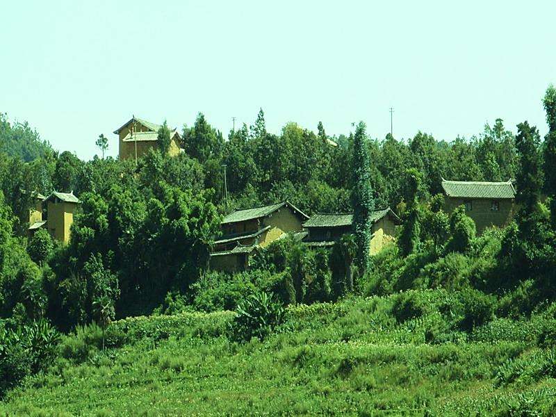 李家箐村 李家箐村