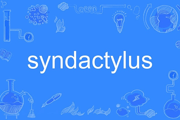 syndactylus