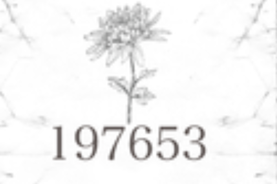 183108 183108
