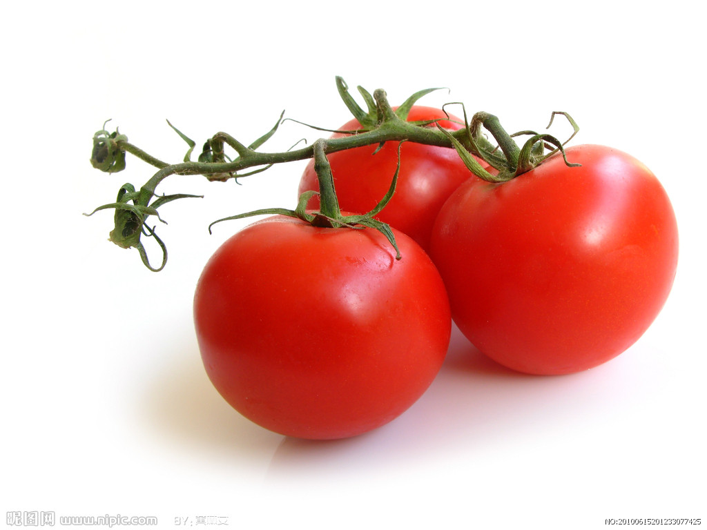 高產蝦青素番茄