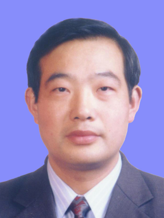 解挺 解挺