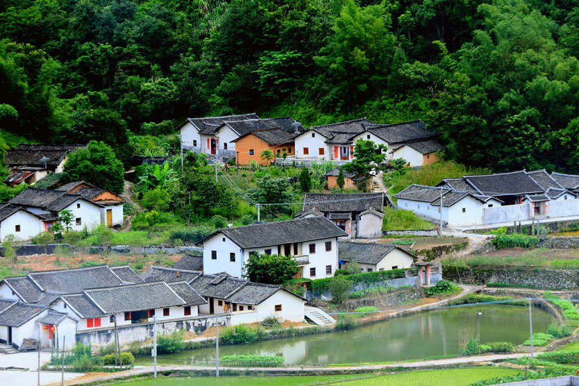 白宮村 白宮村