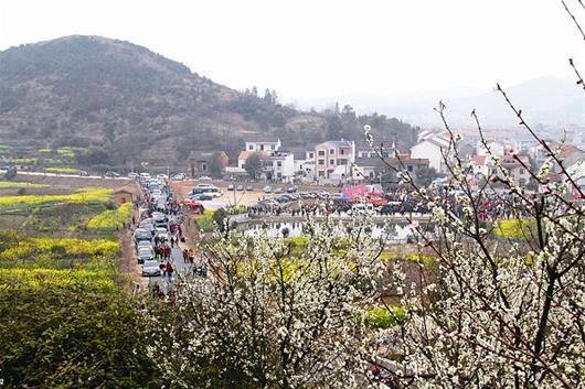 花兒山村 花兒山村