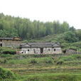 鶴林村(懷寧縣涼亭鄉下轄村) 鶴林村(懷寧縣涼亭鄉下轄村)