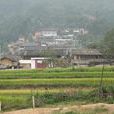 大嶺崗村(雲南省紅河州彌勒縣東山鎮大嶺崗村) 大嶺崗村(雲南省紅河州彌勒縣東山鎮大嶺崗村)