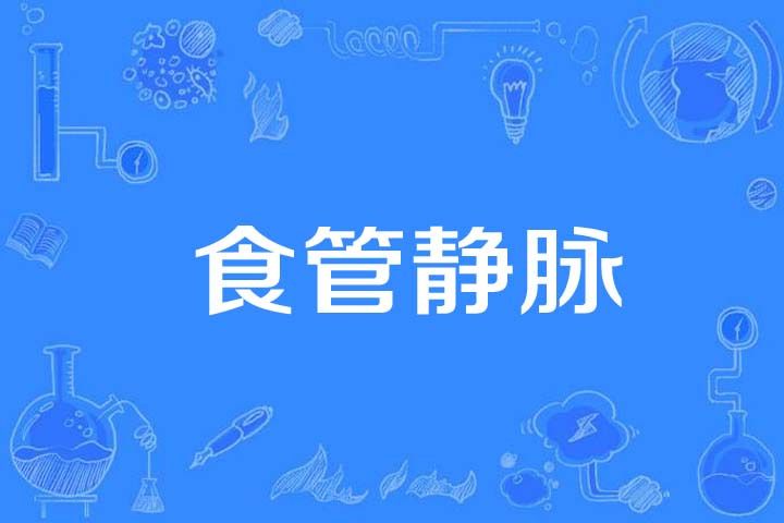 食管靜脈 食管靜脈