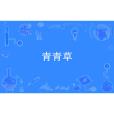 青青草(隨心創作的古代言情網路小說) 青青草(隨心創作的古代言情網路小說)