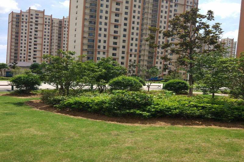 長馨家園 長馨家園