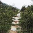 包頭陰山古道 包頭陰山古道