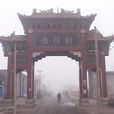 南陽村(浙江省慶元縣張村鄉下轄村) 南陽村(浙江省慶元縣張村鄉下轄村)