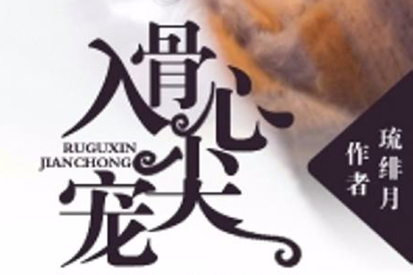 入骨心尖寵 入骨心尖寵