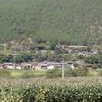 三江村(雲南省玉龍納西族自治縣石頭鄉三江村) 三江村(雲南省玉龍納西族自治縣石頭鄉三江村)