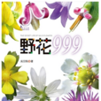 野花999 野花999