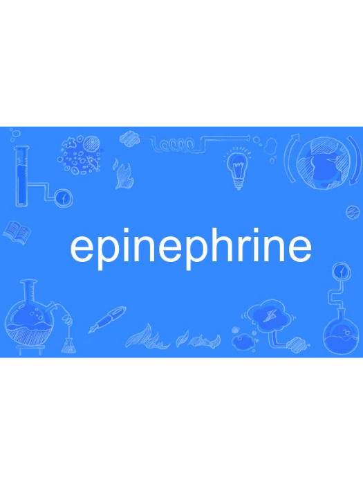 epinephrine epinephrine