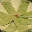 雞婆頭 雞婆頭