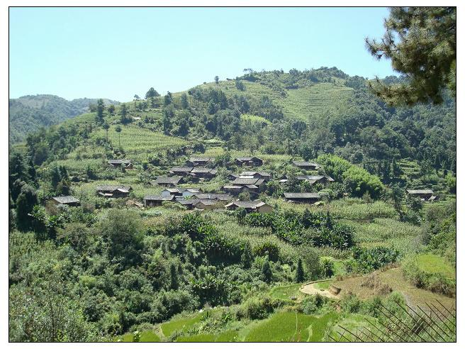 小米地村(雲南保山市龍陵縣象達鄉下轄村) 小米地村(雲南保山市龍陵縣象達鄉下轄村)