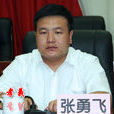 張勇飛(共青團山西孝義市委書記) 張勇飛(共青團山西孝義市委書記)