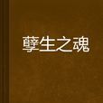 孽生之魂 孽生之魂