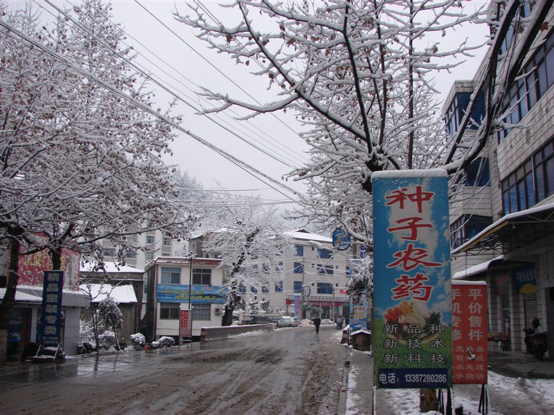 賀家坪的雪景