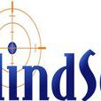 MindSet(NeuroSky公司開發的腦機接口) MindSet(NeuroSky公司開發的腦機接口)