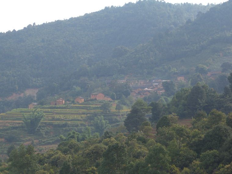 打黨村