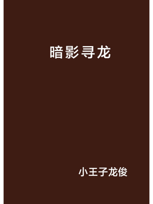 暗影尋龍 暗影尋龍