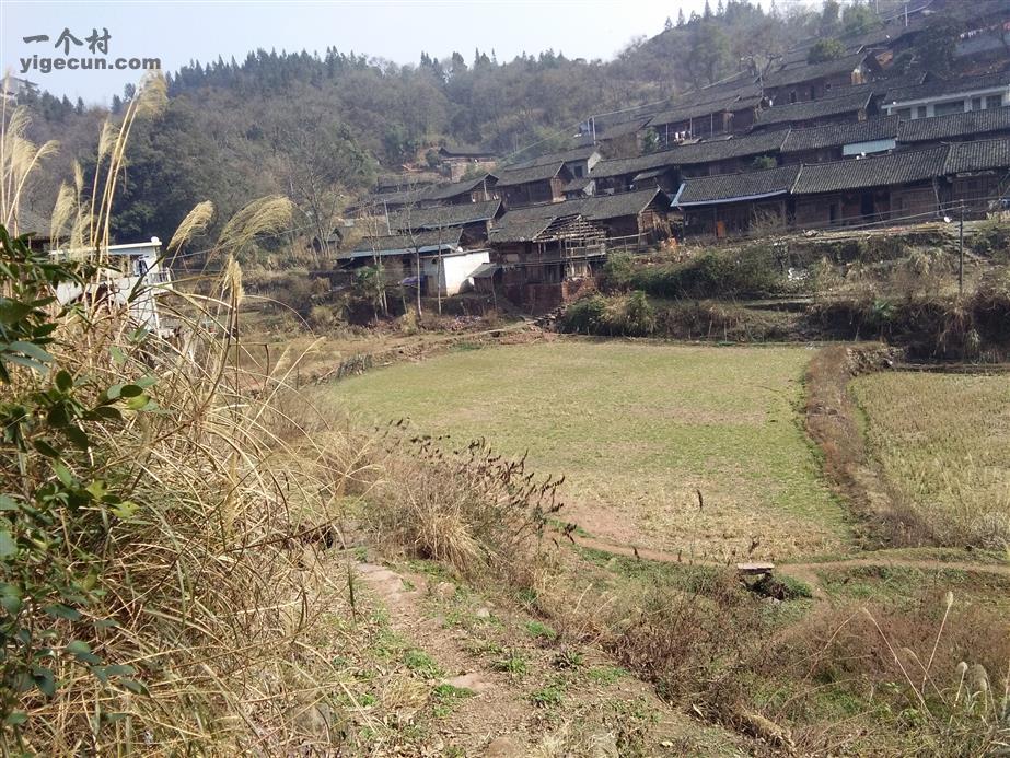 楠木沖村 楠木沖村