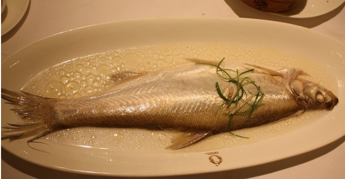 金陵白水魚