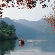 九龍湖景區(肇慶市九龍湖)